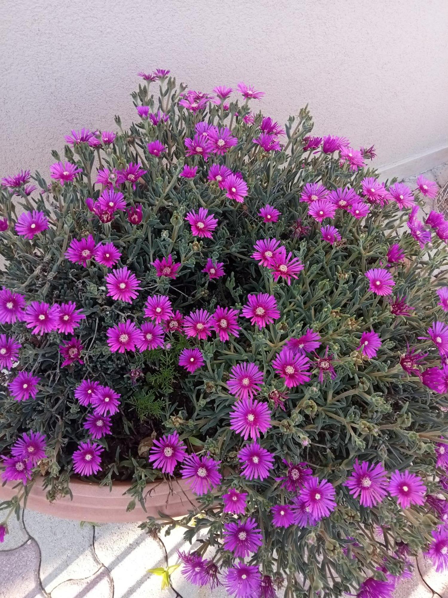 ל'אקווילה Hotel Porta Rivera מראה חיצוני תמונה